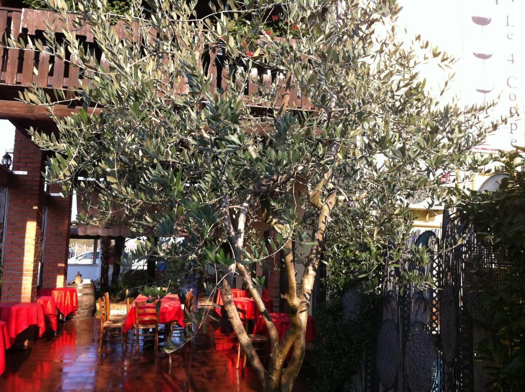 Manuela Le Quattro Coppe Hotel Desenzano del Garda Exterior foto